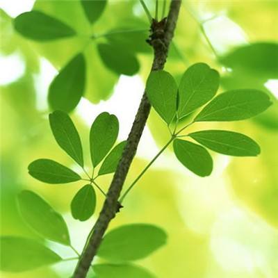 火狐|彩神V集团有限公司登录入口